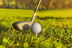 Golf PGA Tour: Wyndham Championship