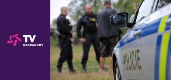 Policie Delta