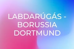 Labdarúgás - Borussia Dortmund - Werder Bremen