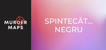 Spintecătorul negru