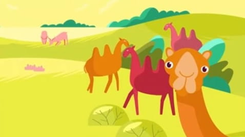 12. Pedan o tajném životě divokých zvířat