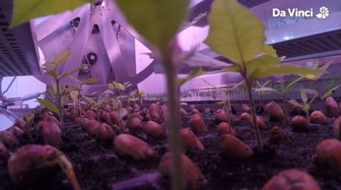 17. Sera călătoare