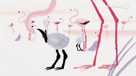 10. Flamingo