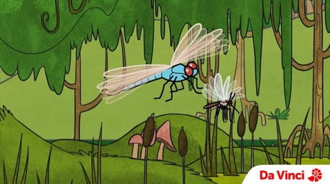 25 Episode