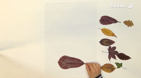 7. Laminált kollázs