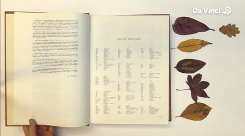 7. Laminowany kolaż