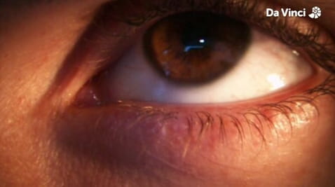 3. Od środka historia oczu i tłuszczu