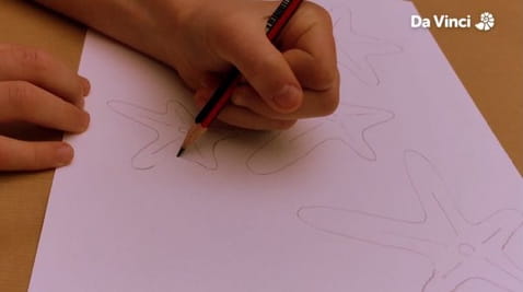 5. Hviezdica citrónová