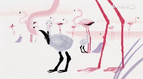 10. Flamingók
