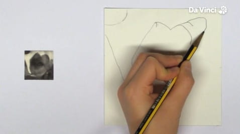 21. Kwadratowy portret