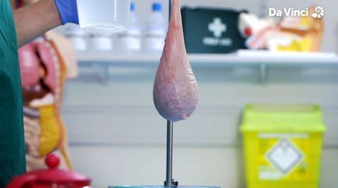 5. Opróżnianie pęcherza