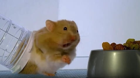 Řada 69