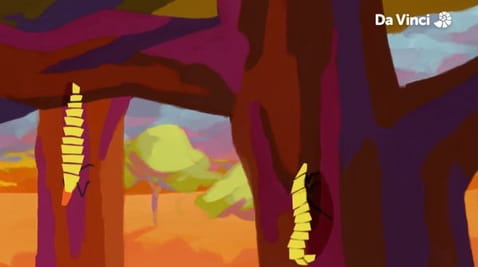 13. Szentjánosbogarak