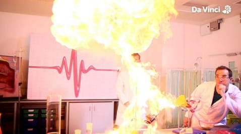 7. Mały Xand i proces trawienny