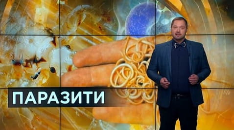 26. Sekrety świata. Robactwo