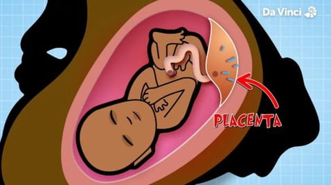 8. Pierwsze niesamowite organy