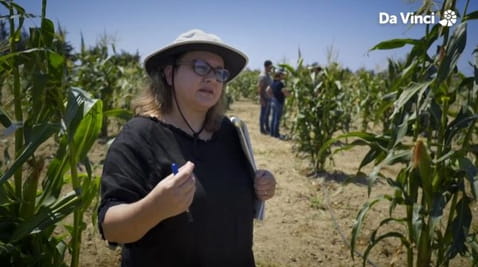 23. How to Produce a Bigger Biodiversity of Corn Crops?