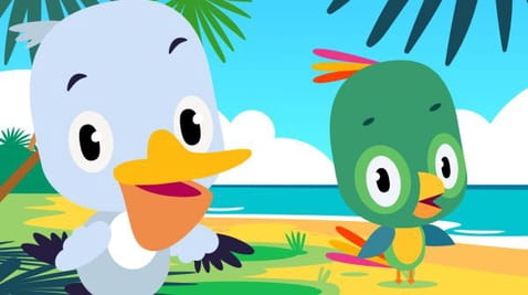Birds
