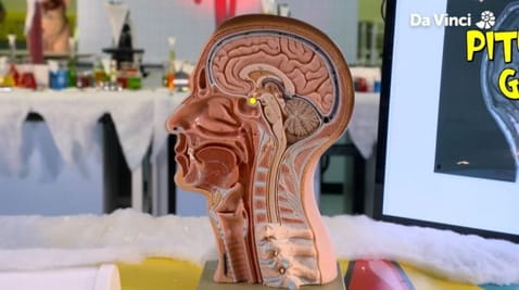 10. Witaj, królu Xand!