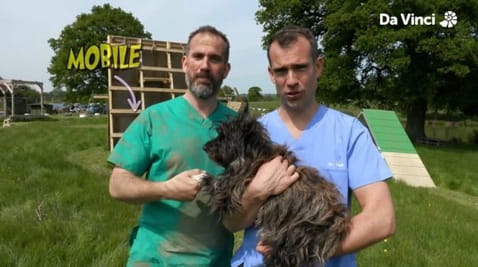 7. Elastyczne ramiona i potrójny skok!