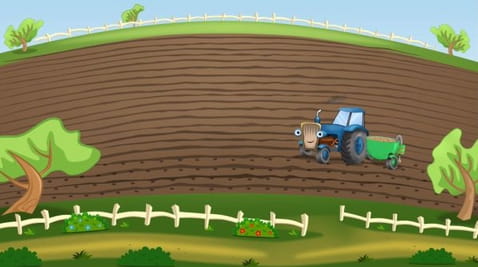 Pěstování brambor