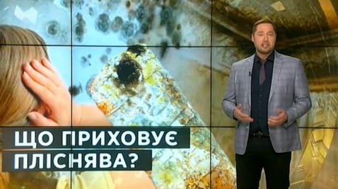 5. Sekrety świata. Co kryje pleśń?
