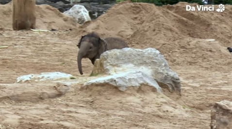 8. Jak trenować mózg!