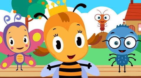 Insects