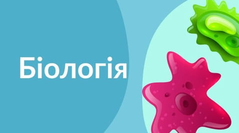 10th grade (2020) - 08.05.2020 biology