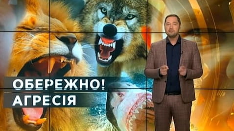 4. Sekrety świata. Ostrożnie! Agresja