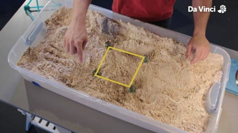 50. Jak wysokie jest drzewo?