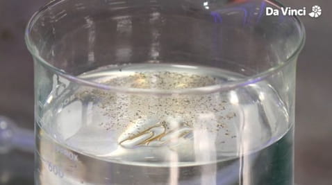 9. Trzymamy kciuki za brzęczyki!