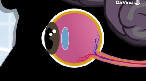 2. Jak widzisz w ciemności?