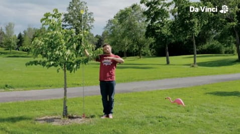 5. Od zera do bohatera