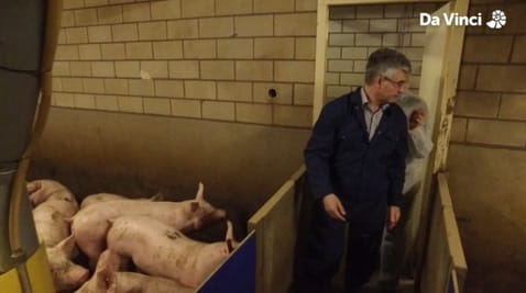 16. Ferma inteligentă de animale