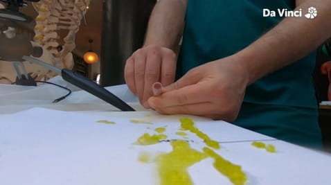 4. Gļotas