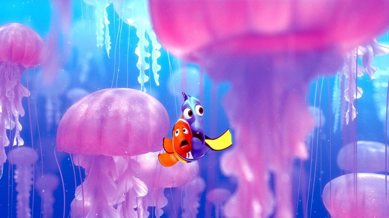 Gdzie jest Nemo