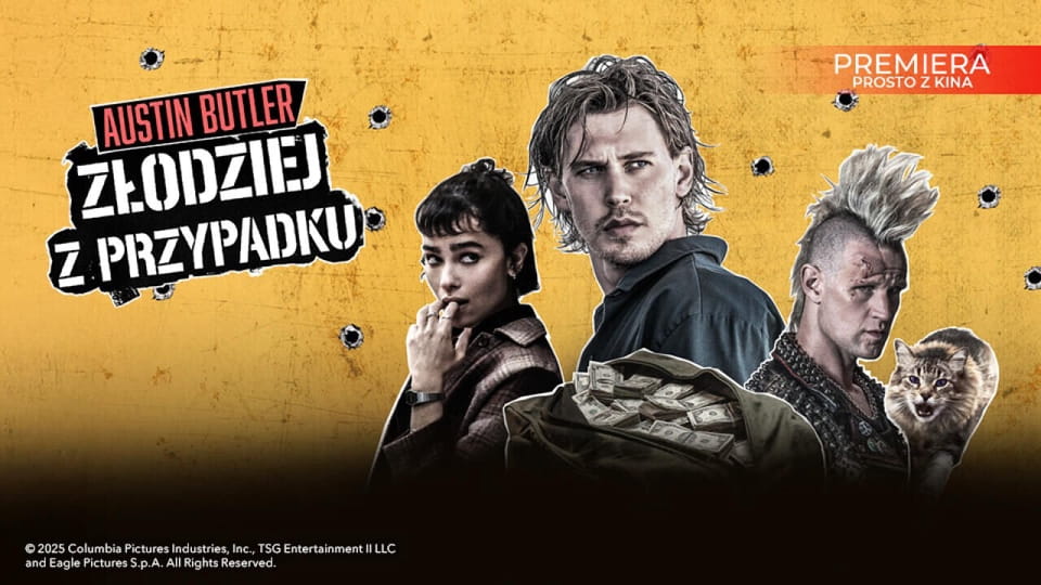 Oglądaj Złodziej z przypadku online