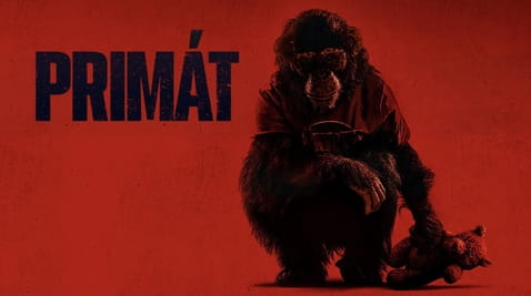Primát