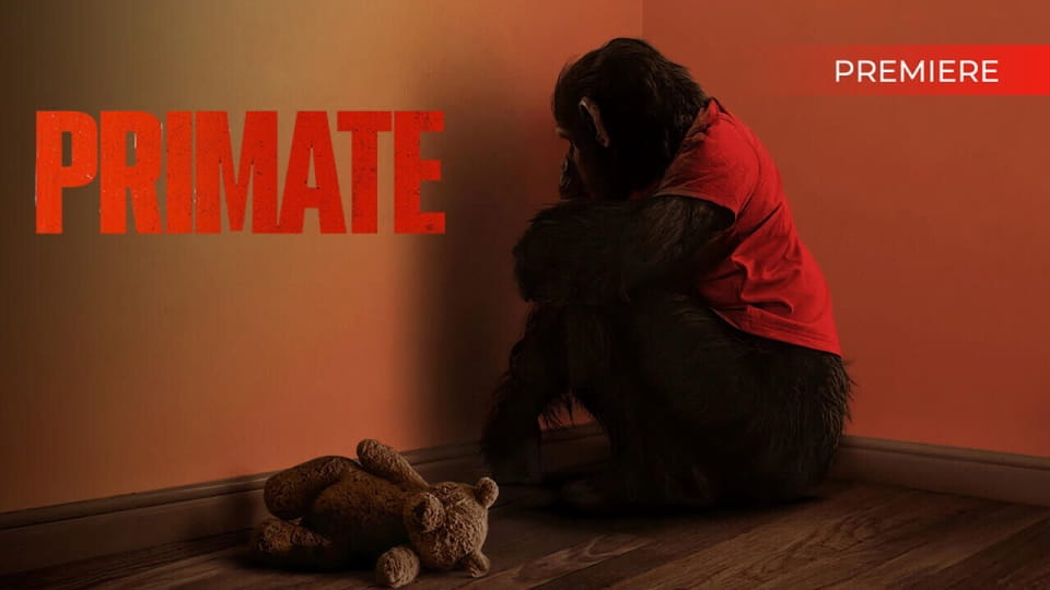 Trailer Instinct primar