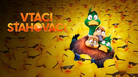 Sledovať Vtáci sťahováci online