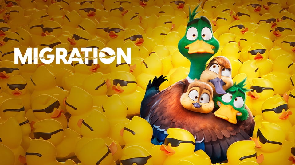 Upoutávka Ptáci stěhováci