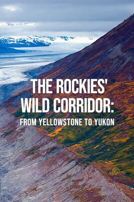 Nézz The Rockies Wild Corridor From Yellowstone To Yukon tartalmakat online
