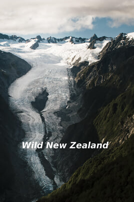 Sledovať Wild New Zealand online
