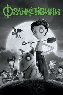 Frankenvynis