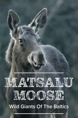 Sledovať Matsalu Moose Wild Giants of the Baltics online