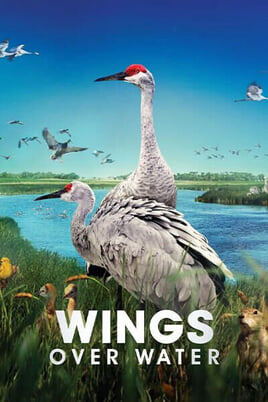 Oglądaj Wings Over Water online