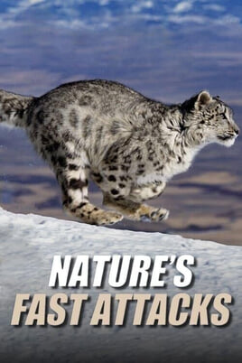 Oglądaj Natures Fast Attacks online