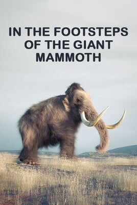 Oglądaj In the Footsteps of the Giant Mammoth online