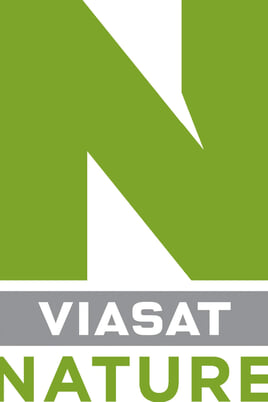 Urmărește online Viasat Nature HD Lions and Hyenas